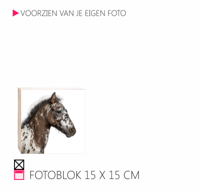 Happy fotoblok op hout 4 cm dik pony paard happy stable interieur leuk voor in huis horse pferde penny