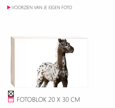 Happy fotoblok op hout 4 cm dik pony paard happy stable interieur leuk voor in huis horse pferde penny