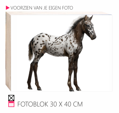 Happy fotoblok op hout 4 cm dik pony paard happy stable interieur leuk voor in huis horse pferde penny