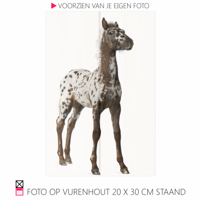 Happy foto op vurenhout chique robuust natuurlijk pony paarfd photo happy stable planken