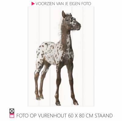 Happy foto op vurenhout chique robuust natuurlijk pony paarfd photo happy stable planken