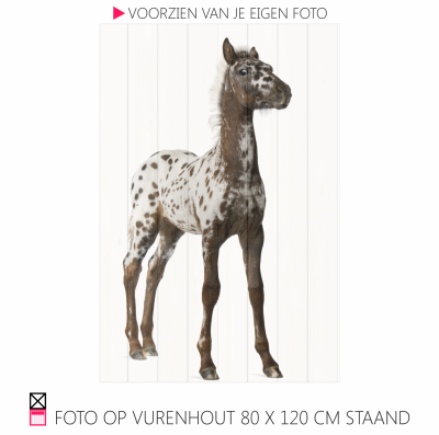 Happy foto op vurenhout chique robuust natuurlijk pony paarfd photo happy stable planken