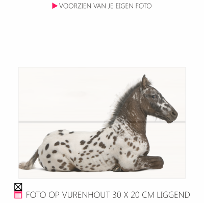 Happy foto op vurenhout chique robuust natuurlijk pony paarfd photo happy stable planken