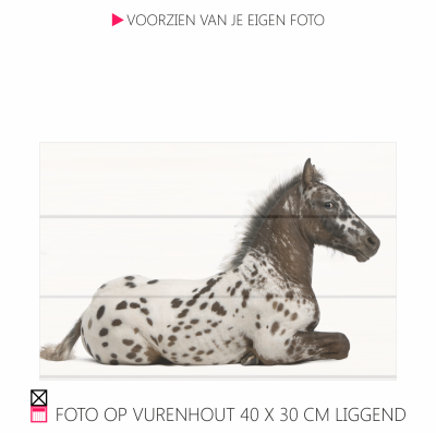 Happy foto op vurenhout chique robuust natuurlijk pony paarfd photo happy stable planken