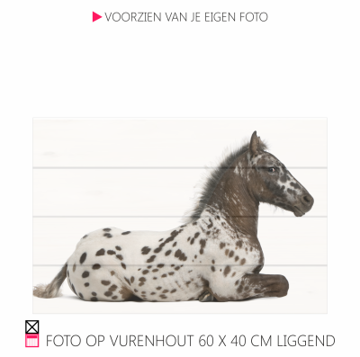 Happy foto op vurenhout chique robuust natuurlijk pony paarfd photo happy stable planken