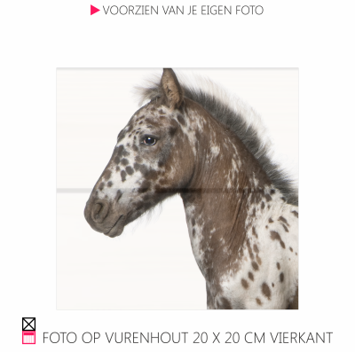 Happy foto op vurenhout chique robuust natuurlijk pony paarfd photo happy stable planken