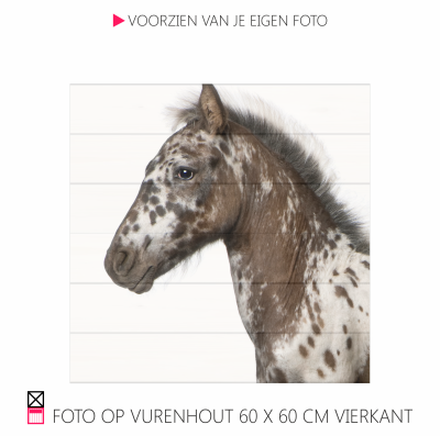 Happy foto op vurenhout chique robuust natuurlijk pony paarfd photo happy stable planken