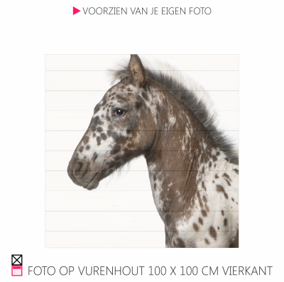 Happy foto op vurenhout chique robuust natuurlijk pony paarfd photo happy stable planken
