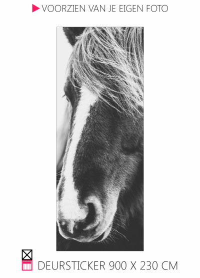Deursticker Happy stable horse pferde paard pony penny sticker voor op je deur