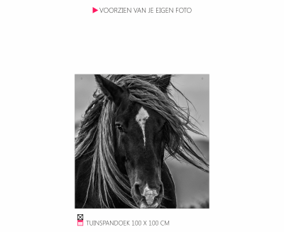 Tuinspandoek Banner   frame mooi voor in de tuin happy stable paard pony cob shetlander pferder horse photo foto