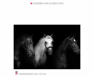 Tuinspandoek Banner mooi voor in de tuin happy stable paard pony cob shetlander pferder horse photo foto