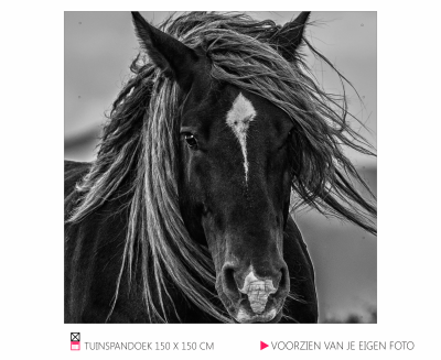 Tuinspandoek Banner mooi voor in de tuin happy stable paard pony cob shetlander pferder horse photo foto